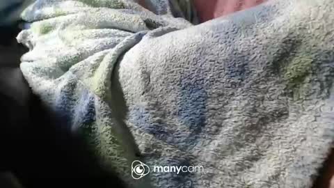 Snapshot of sunnybigboy88 chatting on November 2025 07:04:02 PM sven online show from November 2025 07:04:02 PM