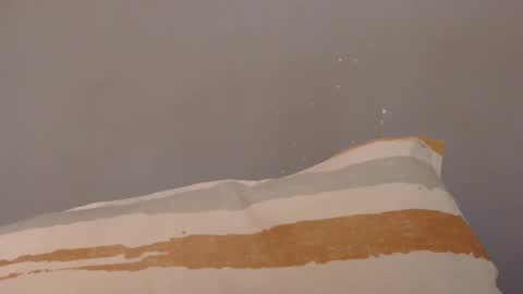 Snapshot of surbang chatting on September 2025 06:35:01 AM surbang online show from September 2025 06:35:01 AM