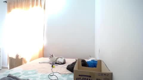 Snapshot of susanaduncann chatting on January 2025 04:59:02 PM Susana online show from January 2025 04:59:02 PM