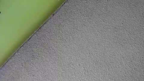 Snapshot of sussan_nasty chatting on December 2025 01:38:01 PM sussan_nasty online show from December 2025 01:38:01 PM