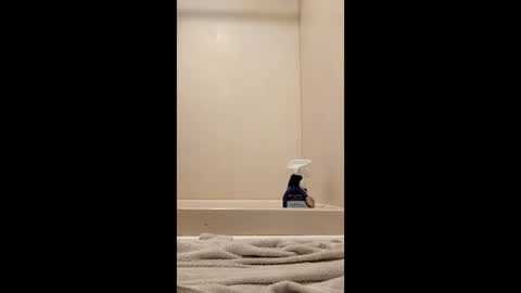 suthernswagga online show from February 2026 10:57:02 PM