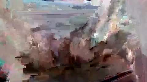 Snapshot of suttond4858 chatting on September 2025 07:03:02 PM suttond4858 online show from September 2025 07:03:02 PM