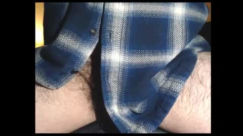 Snapshot of swaainaai chatting on March 2025 04:17:02 AM swaainaai online show from March 2025 04:17:02 AM