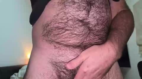 Snapshot of swaainaai chatting on February 2026 11:31:02 PM swaainaai online show from February 2026 11:31:02 PM