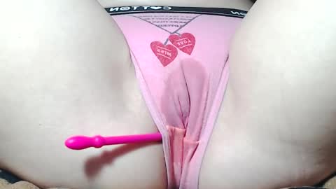 Kitten online show from May 2026 08:52:02 AM
