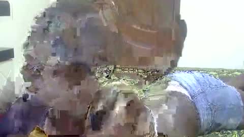 Sharon online show from September 2025 11:43:01 AM