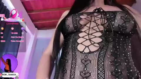 tamy  online show from June 2026 12:14:02 PM
