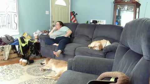 DJ  M 489 Babygirl  F 37 online show from February 2025 04:03:01 PM