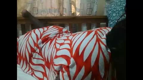 MELVIN online show from November 2025 07:08:02 AM