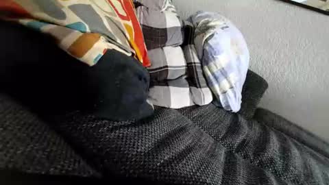 Sweetboy online show from July 2026 02:49:02 PM