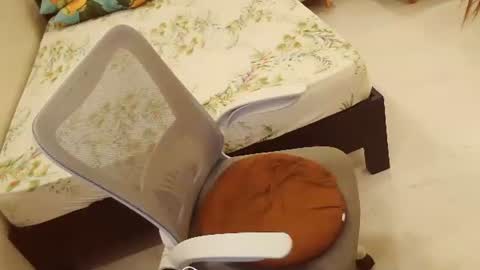 sweetjhenn69 online show from January 2025 04:04:02 PM