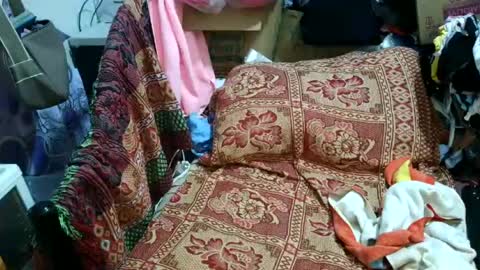 sweetmature_69 online show from July 2026 06:53:01 PM