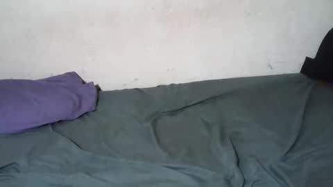 Diego online show from February 2026 07:42:02 PM