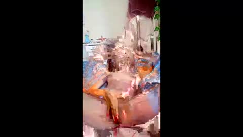 SweetSpot online show from March 2026 10:42:02 AM