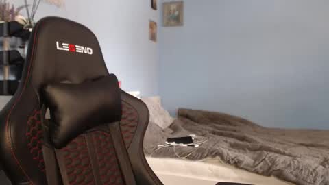 Cat online show from February 2026 10:08:01 AM