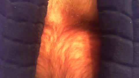 swils67 online show from April 2026 04:37:01 AM