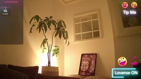 switchienickie online show from June 2026 11:31:02 PM