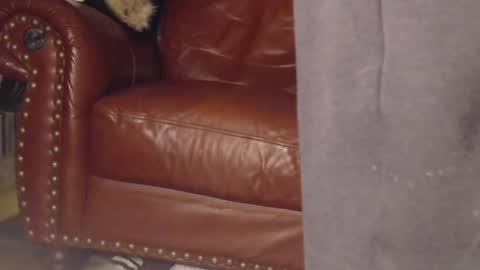 Snapshot of swolebbc chatting on March 2025 04:05:02 AM The DickGod online show from March 2025 04:05:02 AM