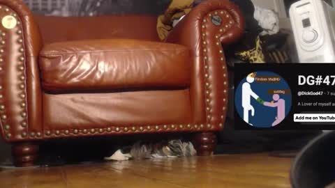 Snapshot of swolebbc chatting on December 2025 06:46:02 PM The DickGod online show from December 2025 06:46:02 PM