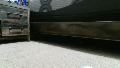 Snapshot of sxtn002 chatting on December 2024 01:25:01 AM sxtn002 online show from December 2024 01:25:01 AM