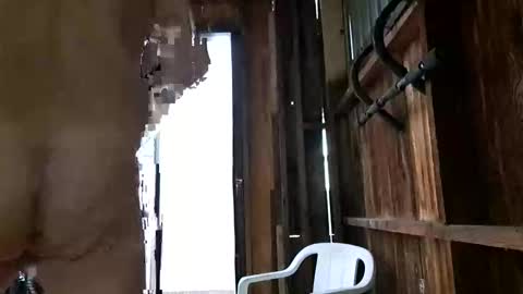 Snapshot of syevecrl chatting on October 2025 12:47:01 AM syevecrl online show from October 2025 12:47:01 AM