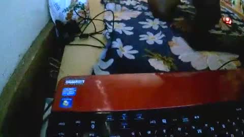 sylviasexy27 online show from November 2025 09:36:01 AM