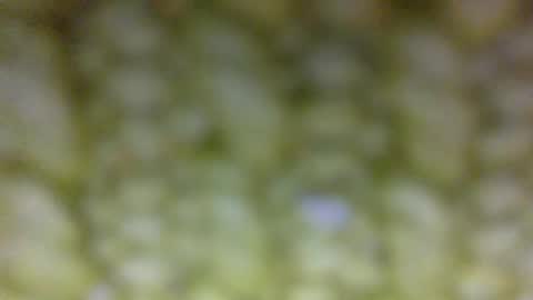 Prostate Orgazmer online show from May 2026 01:42:02 PM