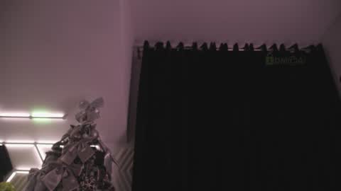 TAANNI online show from February 2025 08:21:02 AM