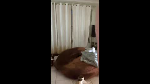 Snapshot of tab7exp chatting on March 2026 01:21:02 AM tab7exp online show from March 2026 01:21:02 AM