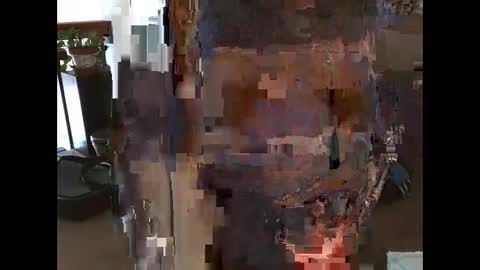 Snapshot of taco456 chatting on March 2025 03:13:02 PM New cock ring for extra pleasure online show from March 2025 03:13:02 PM