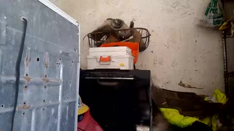 tadfn online show from February 2026 07:47:02 PM