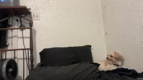 Talen James online show from September 2025 10:26:01 PM