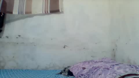 taliah254 online show from December 2025 12:33:02 PM