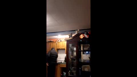 Snapshot of taliban809 chatting on February 2026 11:46:02 AM taliban809 online show from February 2026 11:46:02 AM