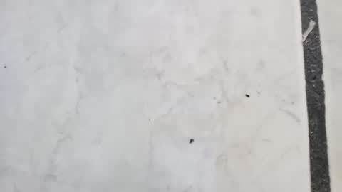 Snapshot of tall6feet7inch chatting on September 2025 11:42:01 AM tall6feet7inch online show from September 2025 11:42:01 AM