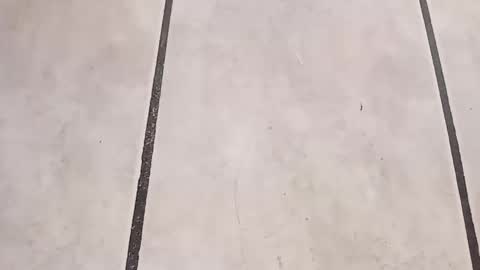 Snapshot of tall6feet7inch chatting on September 2025 10:29:01 AM tall6feet7inch online show from September 2025 10:29:01 AM