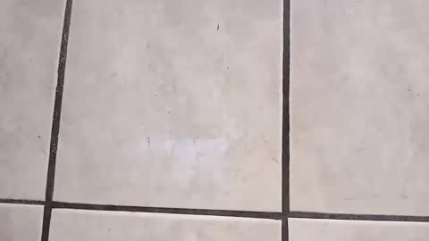 Snapshot of tall6feet7inch chatting on October 2025 09:27:01 AM tall6feet7inch online show from October 2025 09:27:01 AM