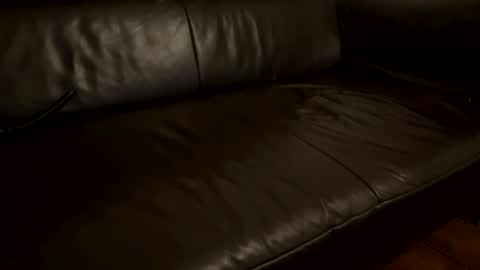 tall_shy_kitty online show from February 2026 03:16:02 AM