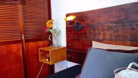    online show from November 2025 10:47:02 AM