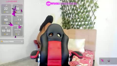 paula online show from March 2026 08:26:01 PM