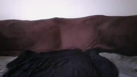 Snapshot of tarshil017 chatting on February 2026 07:10:01 PM tarshil017 online show from February 2026 07:10:01 PM