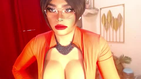 tashaa online show from March 2026 01:24:01 AM