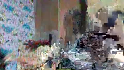 Snapshot of tasty_olive chatting on March 2025 06:27:01 AM tasty_olive online show from March 2025 06:27:01 AM