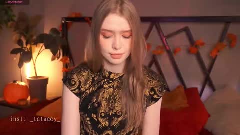 TataCoy online show from November 2025 11:54:01 AM