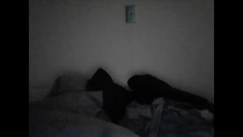 Snapshot of tattedpanther chatting on December 2024 04:39:02 PM tattedpanther online show from December 2024 04:39:02 PM