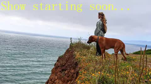 Snapshot of tatum__kahlo chatting on February 2025 11:21:02 PM TATUM ALL MY LINKS online show from February 2025 11:21:02 PM