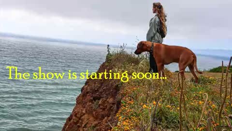 Snapshot of tatum__kahlo chatting on December 2025 07:09:01 PM TATUM ALL MY LINKS online show from December 2025 07:09:01 PM