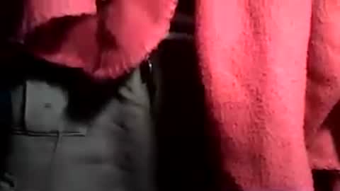 taylor3made online show from June 2026 02:58:01 AM