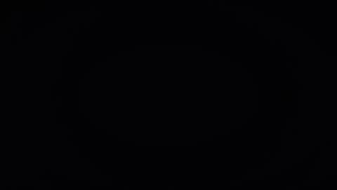 Taylor 3 online show from October 2025 03:37:02 AM