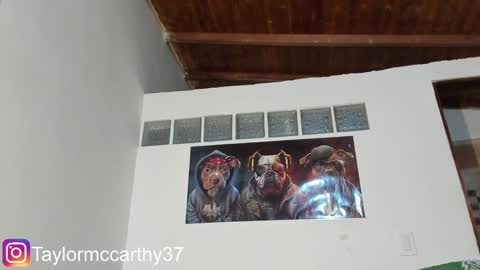 Snapshot of taylor_mccarthy_1 chatting on January 2025 05:09:01 AM Taylor Mccarthy online show from January 2025 05:09:01 AM